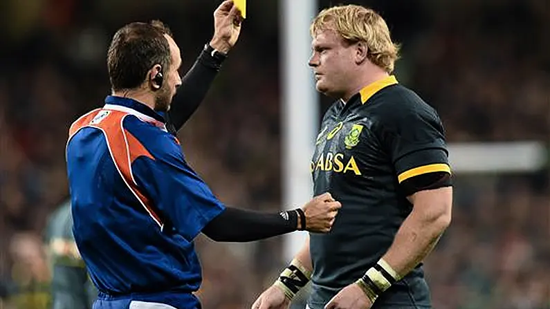 The South African Twitter Reaction To That Glorious Irish Victory