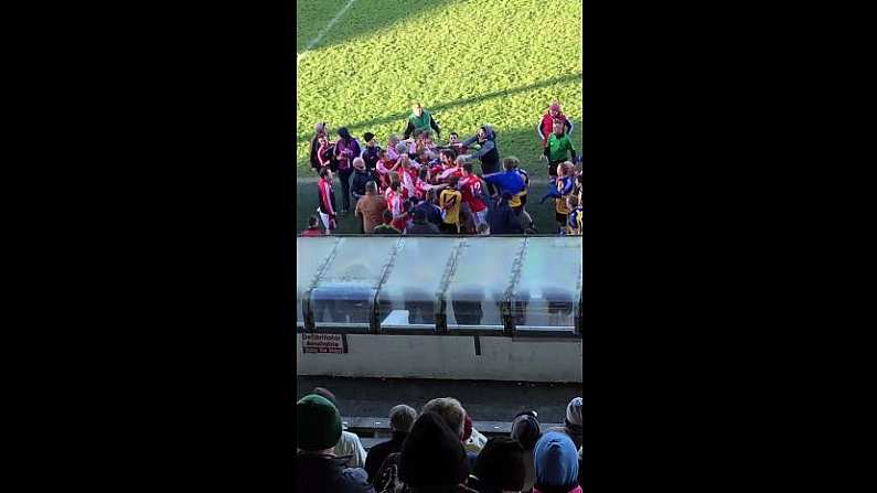 Video: Fists Flew During This Meath Football Final Yesterday