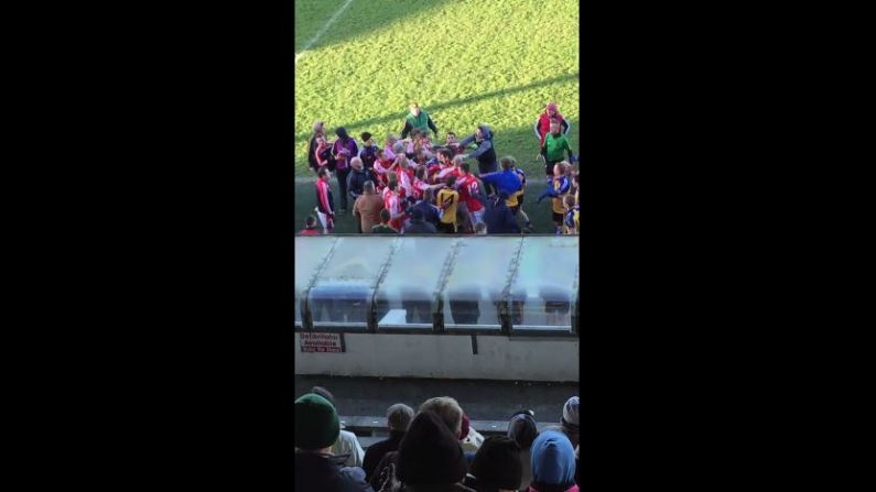 Video: Fists Flew During This Meath Football Final Yesterday