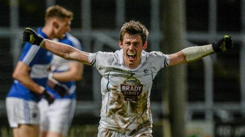 Photo: This Laois Fan Did Not React Well To The Kildare Subs' Goal Celebrations