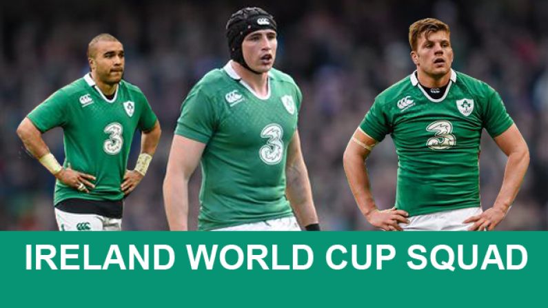 Some Stars Of The Irish Six Nations Triumph Won't Make The World Cup Squad