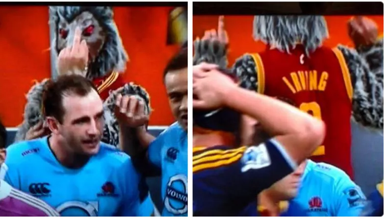 Vine: Highlanders Mascot - You Really Shouldn't Do That