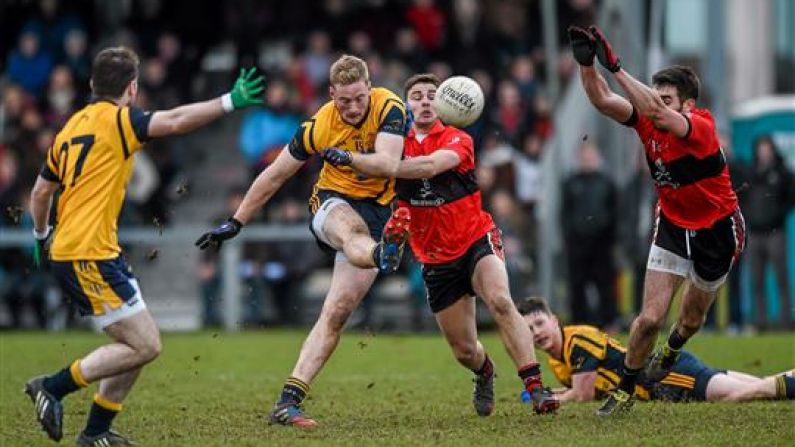 A UCC Sub Got A Little Too Close To The Action During The Sigerson Cup Final