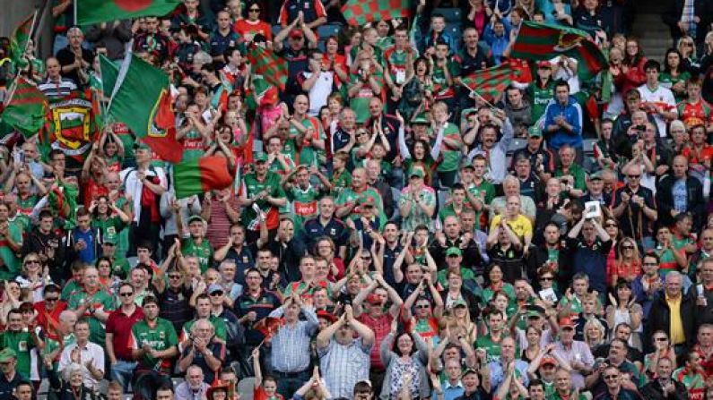 The 10 Types Of GAA Fan You Will Definitely Find On The Internet