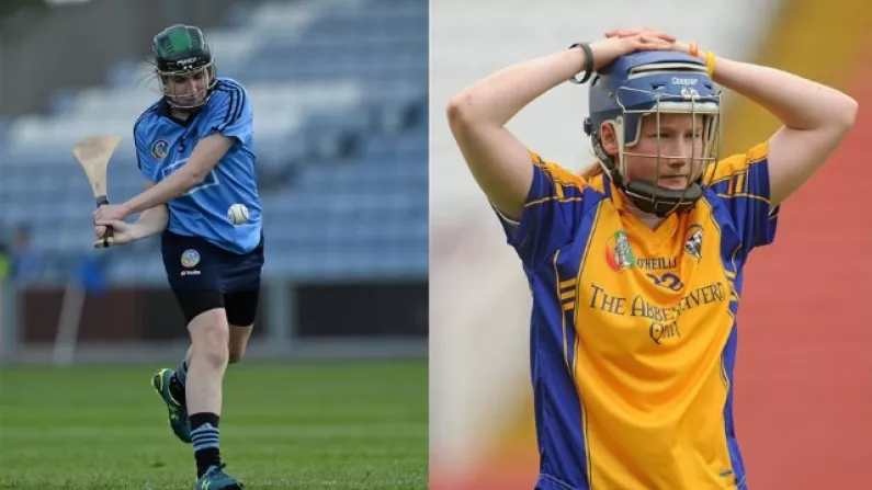 Dublin And Clare's Calling Of The Camogie Association's Bluff Has Paid Off