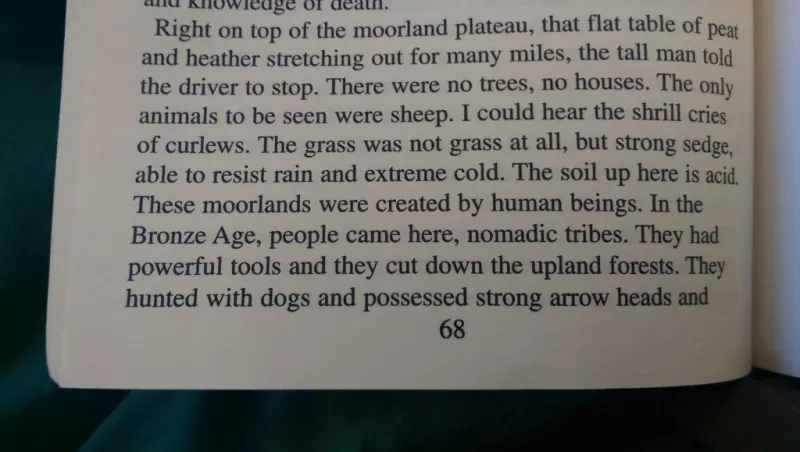 Steve Bruce book novel - 4 nomadic tribes
