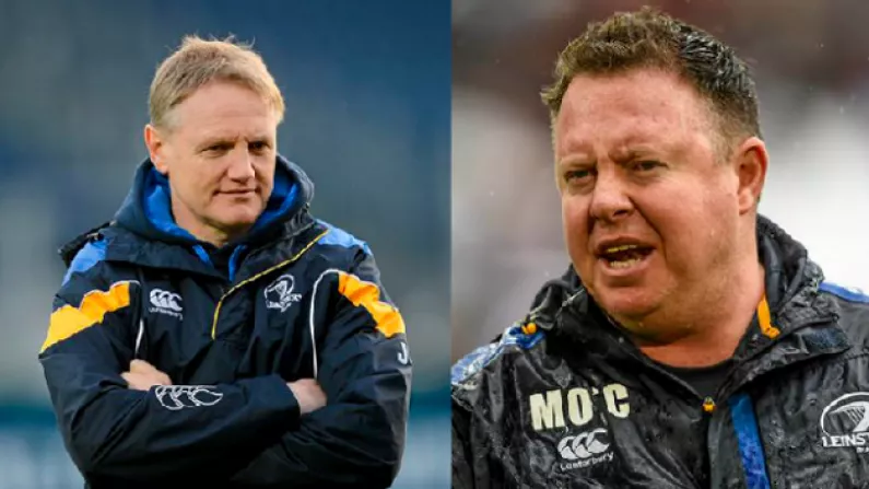 Joe Schmidt Dismisses Claims He Had Something To Do With Matt O'Connor's Sacking
