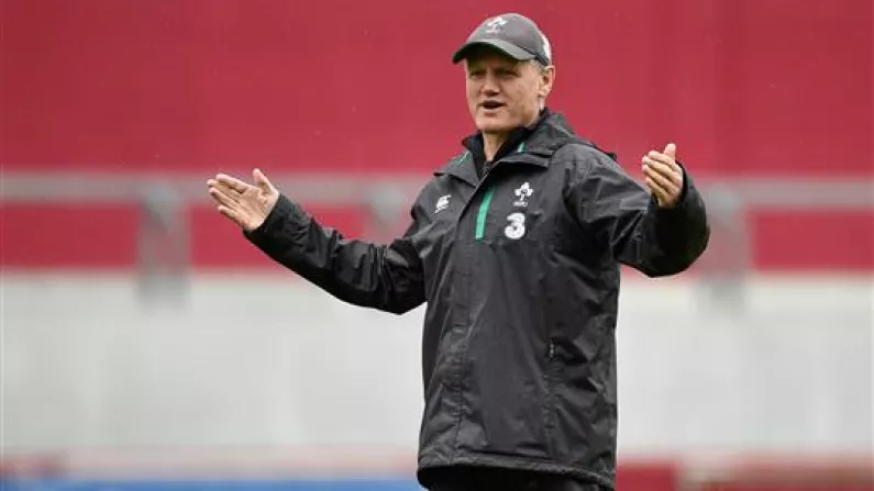 Joe Schmidt Is Going To Extraordinary Lengths To Ensure He Picks The Right World Cup Squad