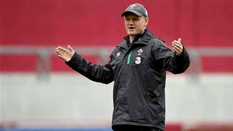 Joe Schmidt Is Going To Extraordinary Lengths To Ensure He Picks The Right World Cup Squad