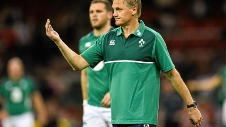 Joe Schmidt Cuts First Players From World Cup Training Squad