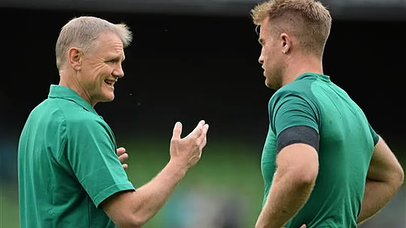 Poll: What Backs Do You Want Joe Schmidt To Bring To The World Cup?