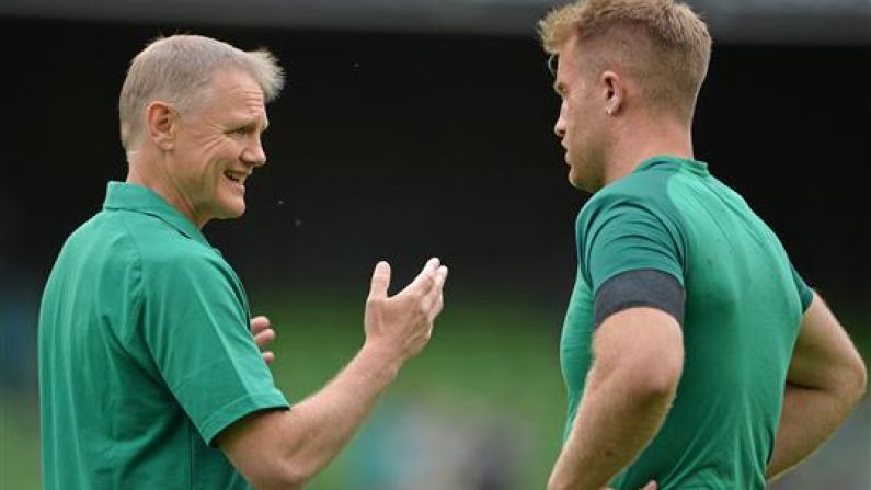 Poll: What Backs Do You Want Joe Schmidt To Bring To The World Cup?