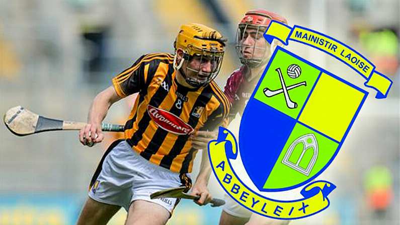 Forget All Ireland Hurling Final Tickets, The Abbeyleix GAA Raffle Has A Truly Irish 1st Prize