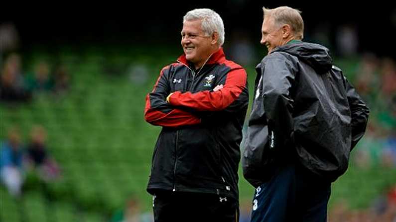 Joe Schmidt Responds In Greater Detail To Warren Gatland's Taunts