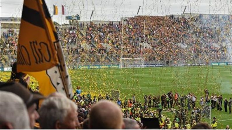 One Kilkenny Fan Went The Extra Mile To Prove That The Passion Is Still There