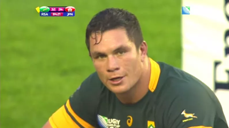 Springbok's Shock Loss Blamed On The Most Brainless Reason Imaginable