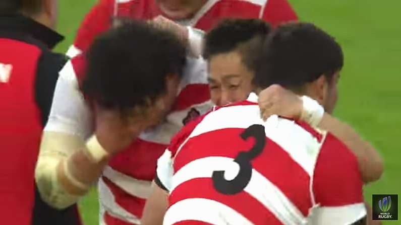 Yet More Proof That Ireland Has Gone Batshit Crazy For Japanese Rugby