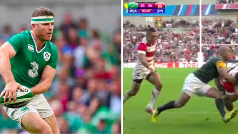 Gordon D'Arcy Picks Out The Springboks Player To Blame For Japan Defeat