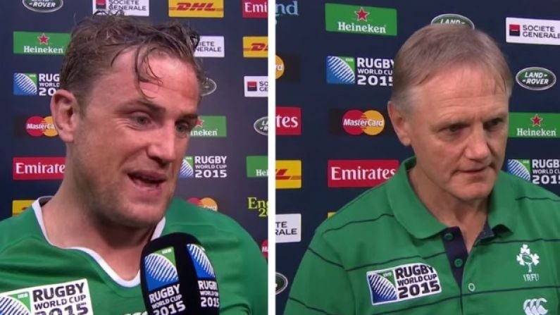 Video: Irish Players And Management Blown Away By Record Setting Irish Support