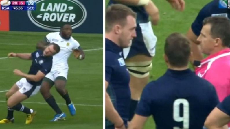 Video: Nigel Owens Unambiguously Reprimands Stuart Hogg For Dive Against South Africa