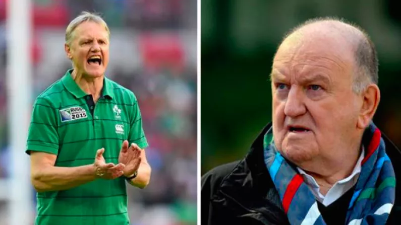 'He Might Be Joining Brendan Rodgers' - Hook Savages Schmidt After Italy Win