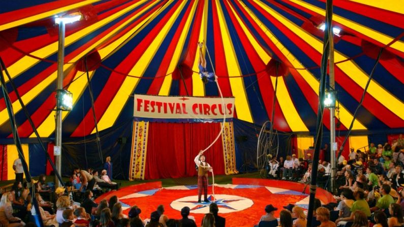A Galway Hurler Did Not Enjoy His Trip To The Circus