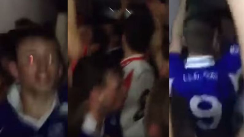 A Minor Match Between Cavan And Meath Clubs Turned Into A Massive Bloody Rave