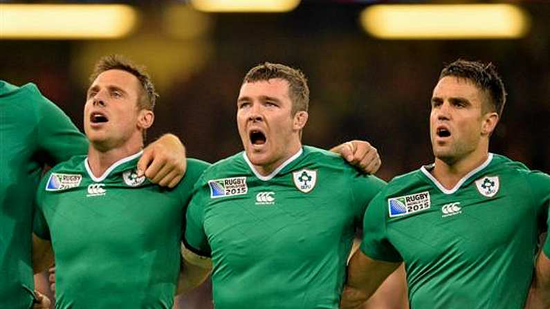 Ireland Ratings V France: How We Rated Ireland's Heroic Performance