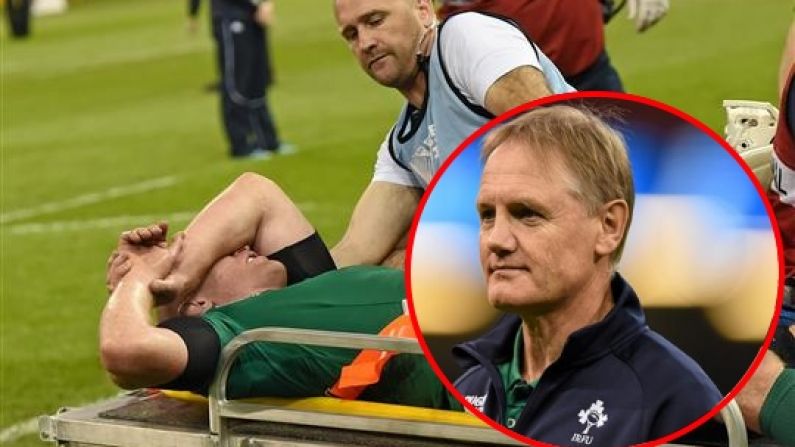 Joe Schmidt Has Reportedly Made His Decision On Paul O'Connell's World Cup Replacement