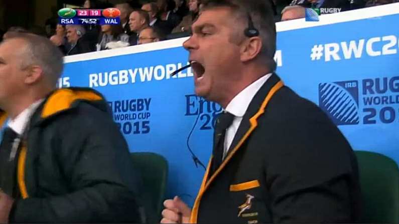 Watch: No One Celebrates As Hard As South Africa's Coach