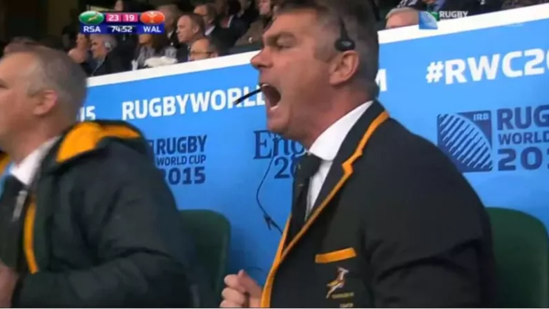Watch: No One Celebrates As Hard As South Africa's Coach