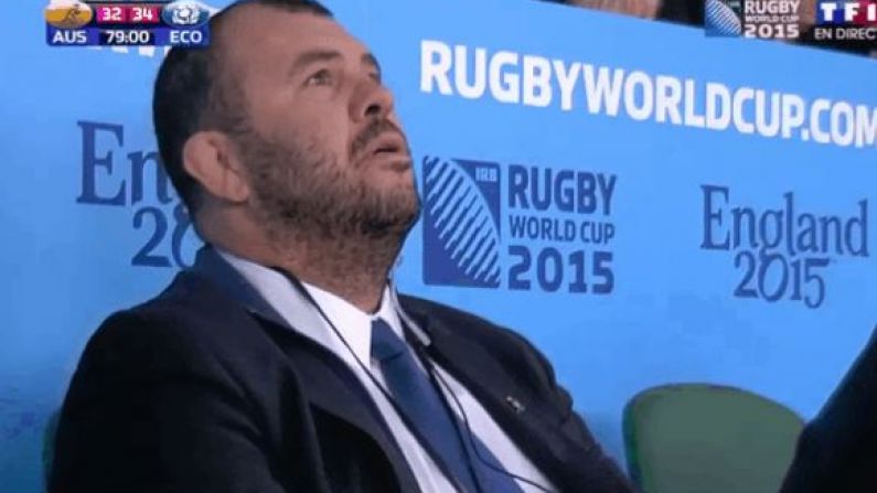 Watch: Pure Fear Came Over Michael Cheika In The 79th Minute Against Scotland