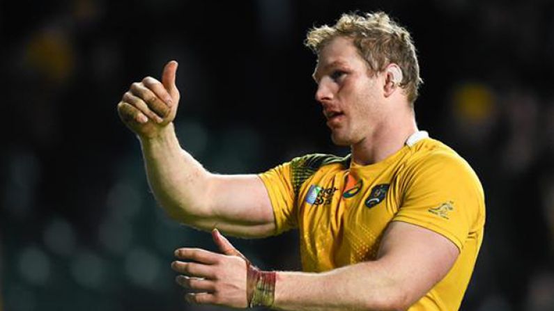 Australian Rugby Union Place Massive Bet On A Wallabies World Cup Final Win