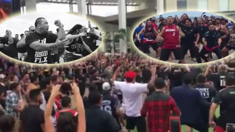 New Zealand Emigrants' Flash Mob Hakas Across Australia Are Breathtaking