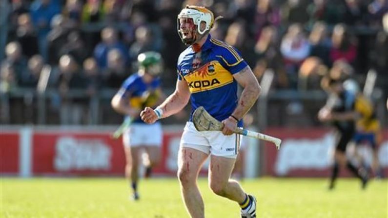 Young Tipperary Fan Kept It Very GAA With His Halloween Costume