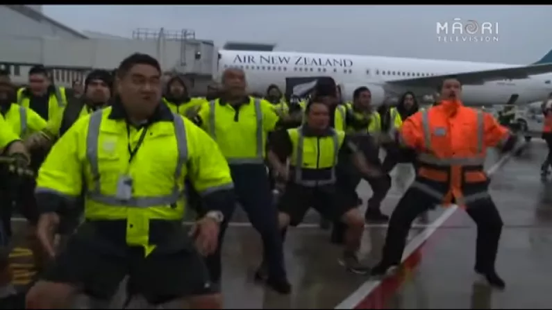 The All Blacks Got One Hell Of A Reception On Their Return To New Zealand
