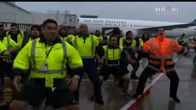 The All Blacks Got One Hell Of A Reception On Their Return To New Zealand