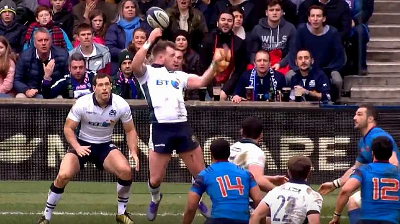 Watch: Magical Flick-Pass By Stuart Hogg Sends Tim Visser In To Finish France