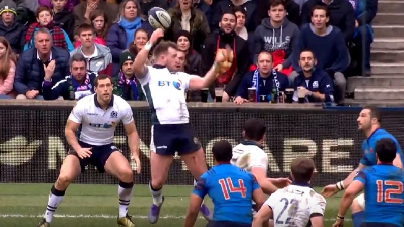 Watch: Magical Flick-Pass By Stuart Hogg Sends Tim Visser In To Finish France