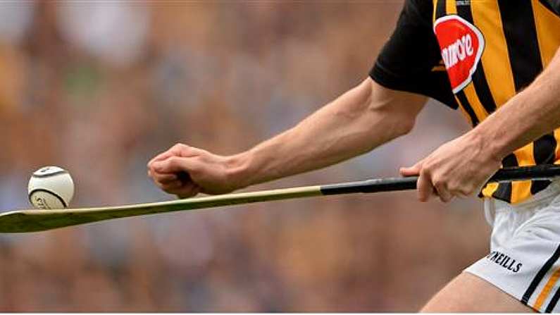 Hurling As We Know It May Be Under Threat From A Beetle