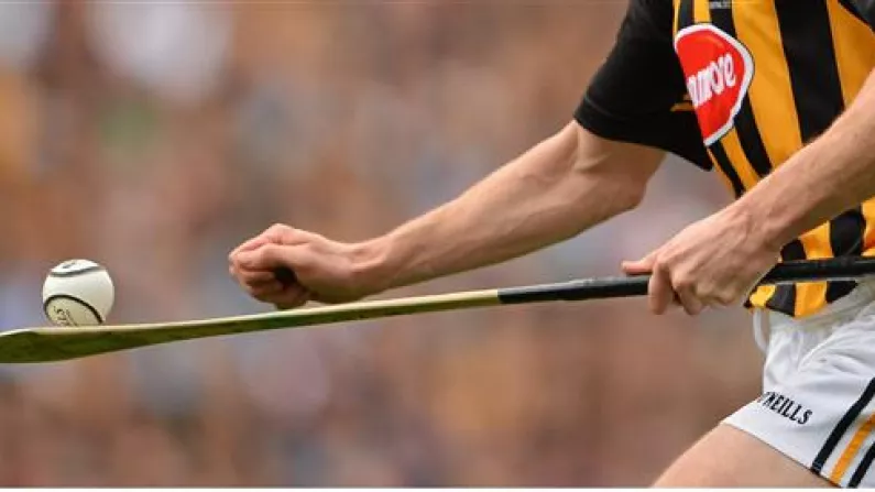 Hurling As We Know It May Be Under Threat From A Beetle