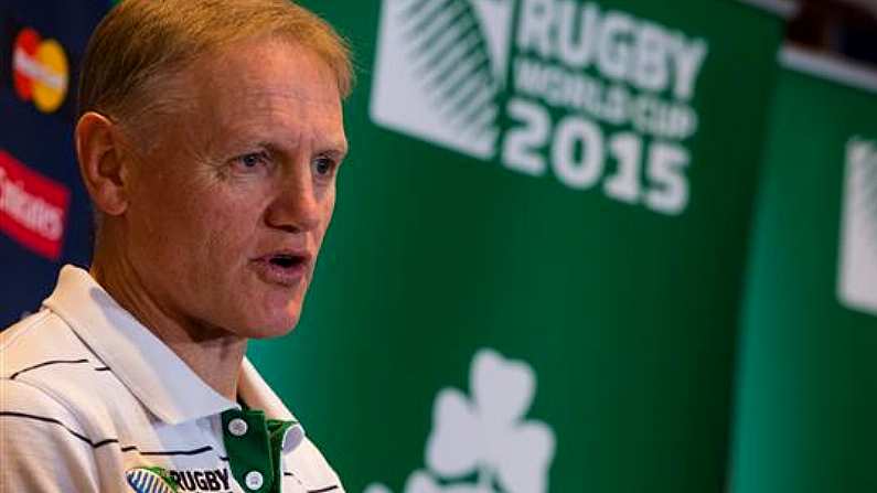 If Joe Schmidt Wants The Lions Job, He'll Have Take Time Out From Coaching Ireland