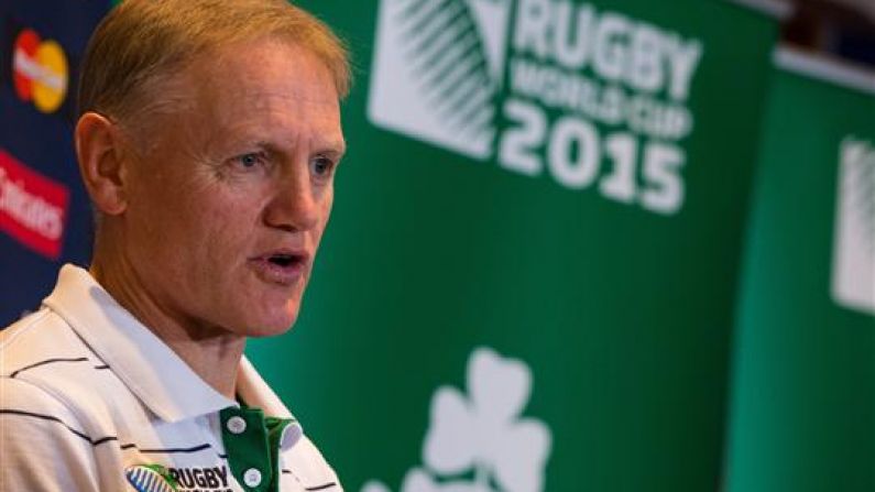 If Joe Schmidt Wants The Lions Job, He'll Have Take Time Out From Coaching Ireland