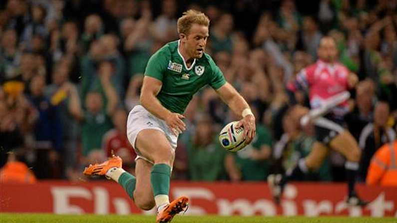 Ireland's Injury Nightmare Continues As Fitzgerald Bows Out Of Six Nations Squad