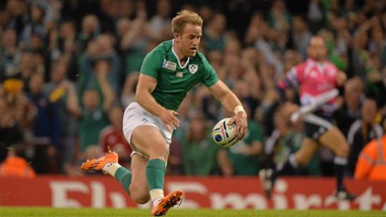 Ireland's Injury Nightmare Continues As Fitzgerald Bows Out Of Six Nations Squad