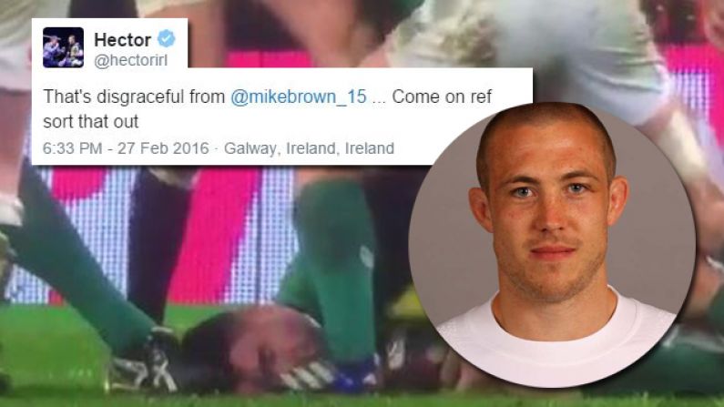 Reaction: Irish Fans Share Unanimous View That Mike Brown Is An Absolute Gobshite
