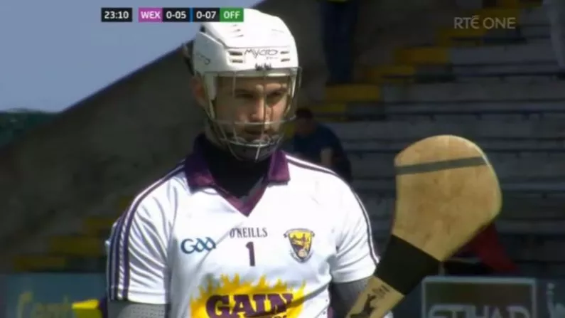 Controversy During Wexford Vs Offaly Qualifier Due To 'Shocking Piece Of Umpiring'