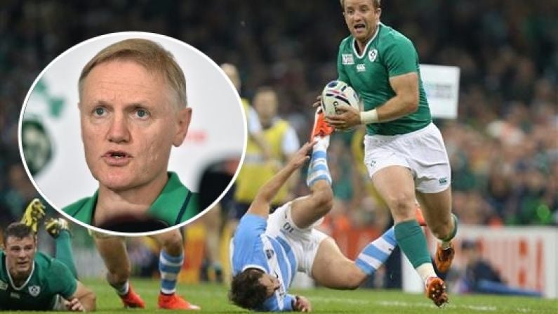 Luke Fitzgerald Had A Disagreement With Joe Schmidt At The World Cup