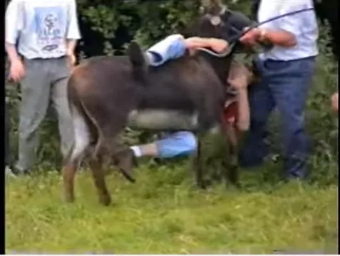 castletown donkey derby