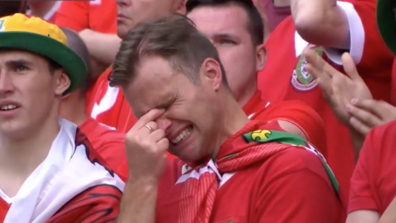 This Crying Welsh Fan Reaction To Seeing Himself On TV Was The Highlight Of England v Wales